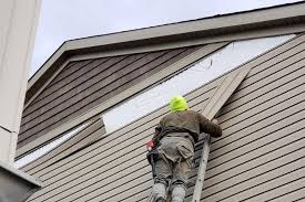 Best Fascia and Soffit Installation  in Clinton, MI